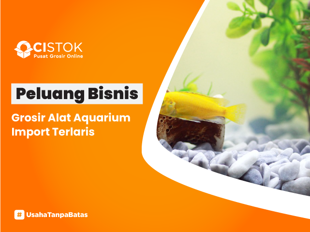 https://ocistok.co.id/control-panel/foto/Peluang Bisnis Grosir Alat Aquarium Import Terlaris.png